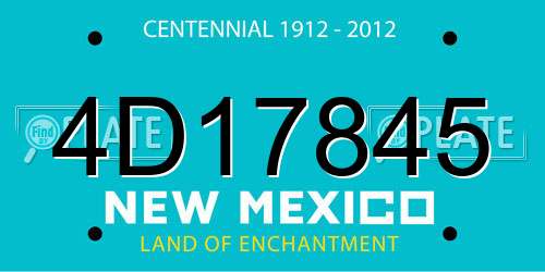 4D17845 New Mexico License Plate