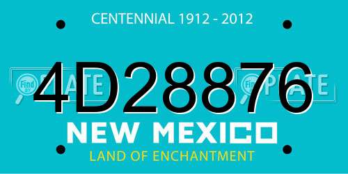 4D28876 New Mexico License Plate