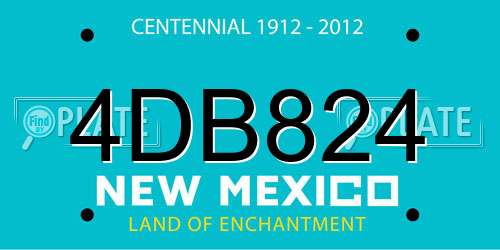 4DB824 New Mexico License Plate