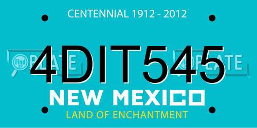 4DIT545 New Mexico License Plate