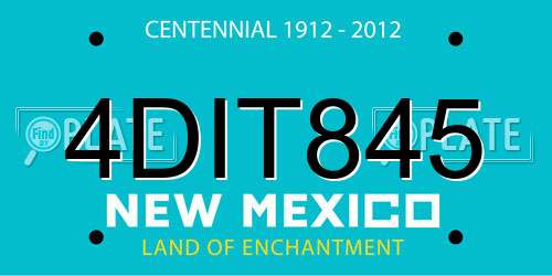 4DIT845 New Mexico License Plate