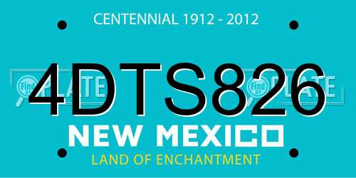 4DTS826 New Mexico License Plate