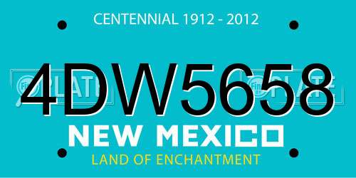 4DW5658 New Mexico License Plate
