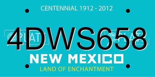4DWS658 New Mexico License Plate