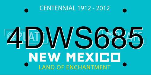 4DWS685 New Mexico License Plate