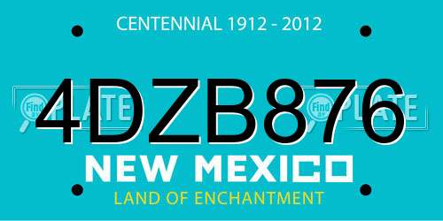 4DZB876 New Mexico License Plate