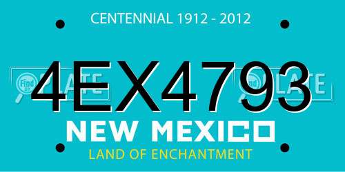 4EX4793 New Mexico License Plate