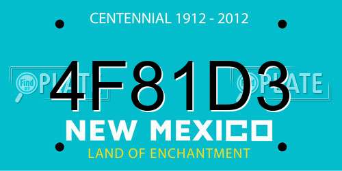 4F81D3 New Mexico License Plate