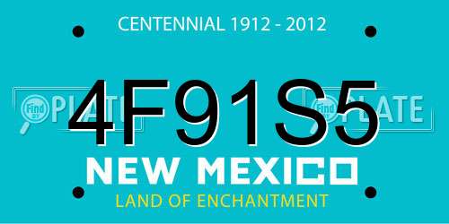 4F91S5 New Mexico License Plate
