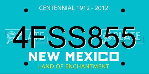 4FSS855 New Mexico License Plate