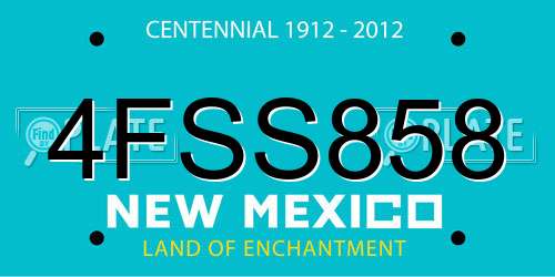 4FSS858 New Mexico License Plate