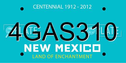 4GAS310 New Mexico License Plate
