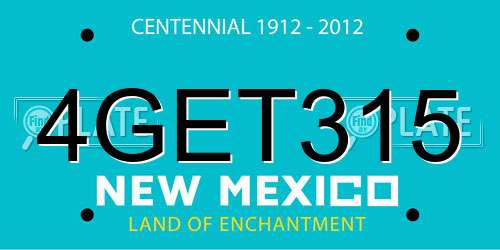 4GET315 New Mexico License Plate