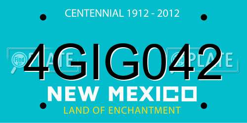 4GIG042 New Mexico License Plate