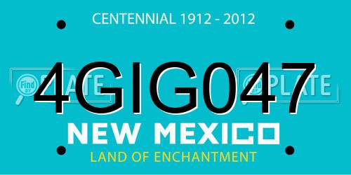 4GIG047 New Mexico License Plate