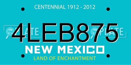 4LEB875 New Mexico License Plate