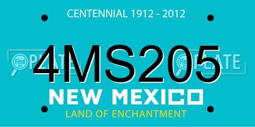 4MS205 New Mexico License Plate