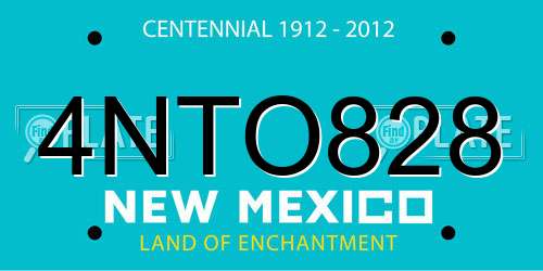 4NTO828 New Mexico License Plate