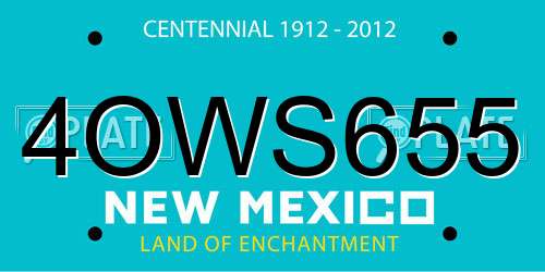 4OWS655 New Mexico License Plate