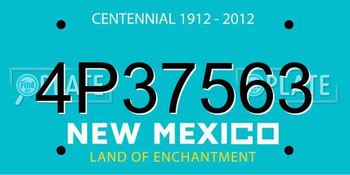 4P37563 New Mexico License Plate