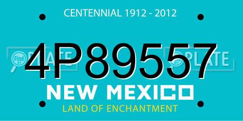 4P89557 New Mexico License Plate