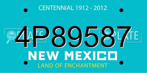 4P89587 New Mexico License Plate