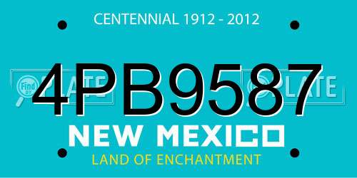4PB9587 New Mexico License Plate