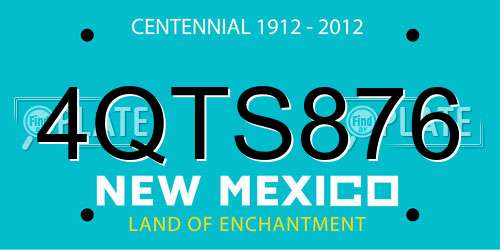 4QTS876 New Mexico License Plate