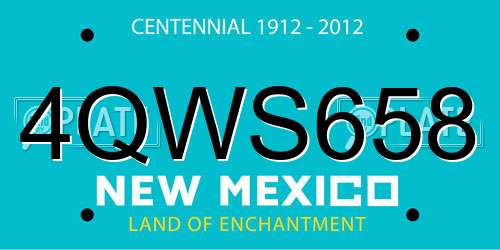 4QWS658 New Mexico License Plate