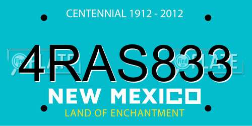 4RAS833 New Mexico License Plate