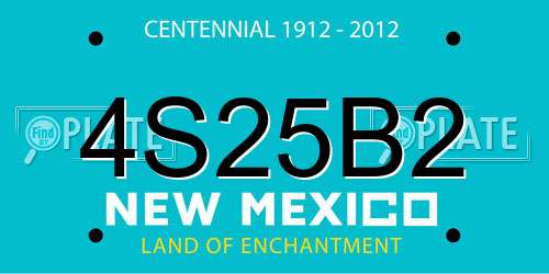 4S25B2 New Mexico License Plate