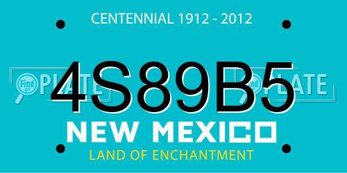 4S89B5 New Mexico License Plate