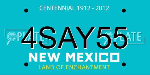 4SAY55 New Mexico License Plate