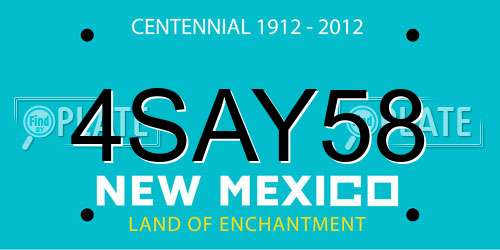 4SAY58 New Mexico License Plate