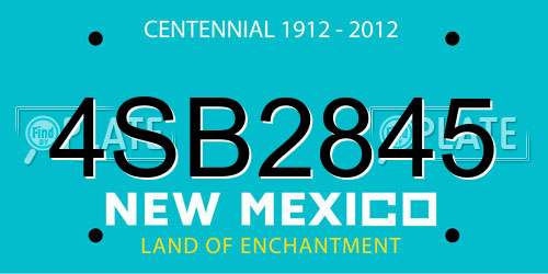 4SB2845 New Mexico License Plate