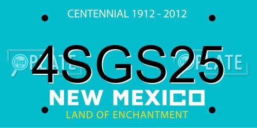 4SGS25 New Mexico License Plate