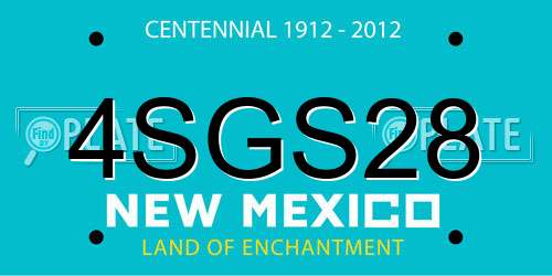 4SGS28 New Mexico License Plate