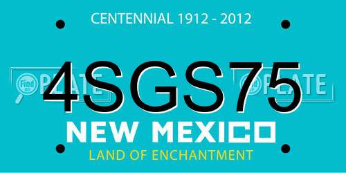4SGS75 New Mexico License Plate