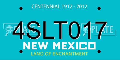 4SLT017 New Mexico License Plate