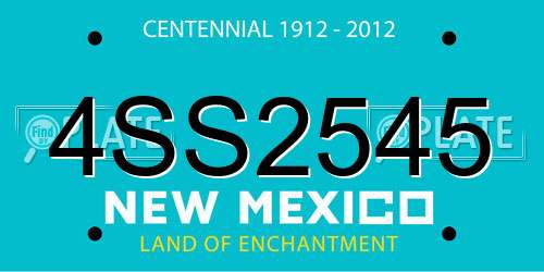 4SS2545 New Mexico License Plate
