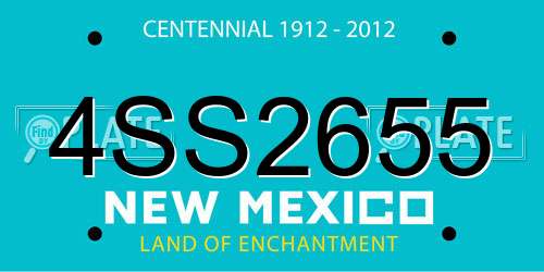 4SS2655 New Mexico License Plate