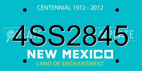 4SS2845 New Mexico License Plate