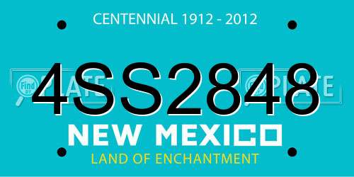 4SS2848 New Mexico License Plate