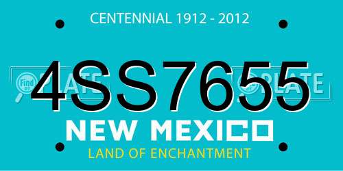 4SS7655 New Mexico License Plate