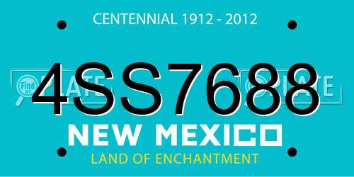 4SS7688 New Mexico License Plate