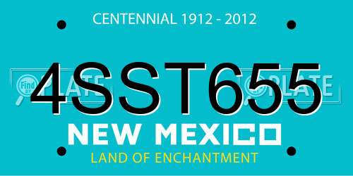 4SST655 New Mexico License Plate