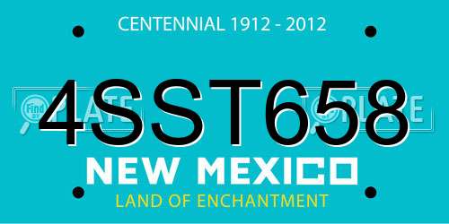 4SST658 New Mexico License Plate