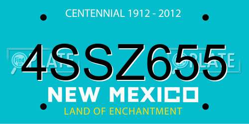4SSZ655 New Mexico License Plate