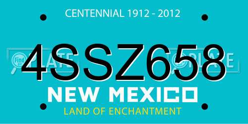 4SSZ658 New Mexico License Plate