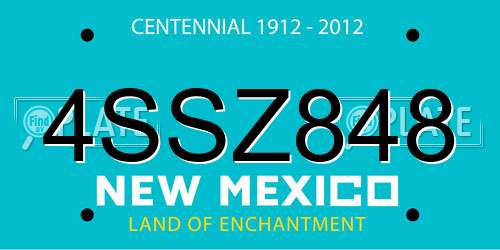 4SSZ848 New Mexico License Plate
